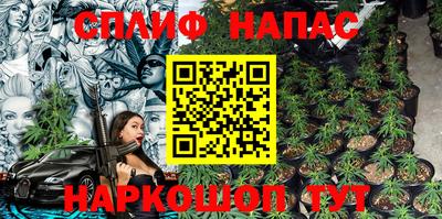 сатива Коммунар