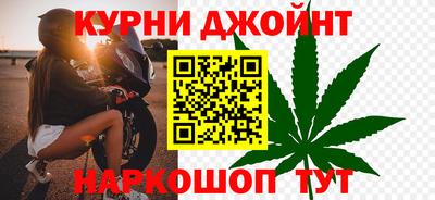 сатива Коммунар