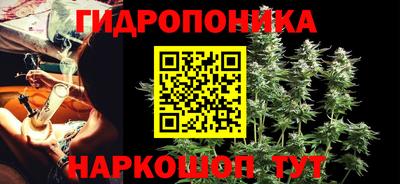 сатива Коммунар