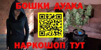 сатива Коммунар