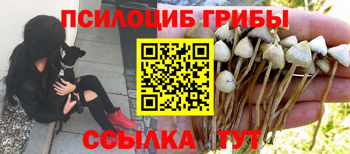 Галлюциногенные грибы MAGIC MUSHROOMS Кирово-Чепецк